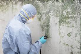 Best Basement Mold Removal  in Oconomowoc, WI